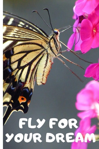 Fly For Your Dream