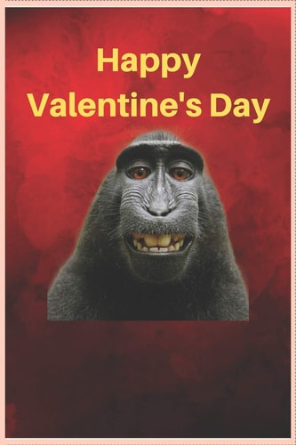 Happy Valentine's Day Kiss My Banana