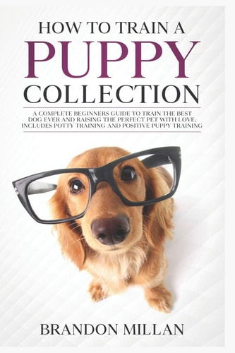 How to Train a Puppy, Collection A Complete Beginners Guide to Train the Best Dog Ever and Raising the Perfect Pet with Love, Includes Potty Training and Positive Puppy Training