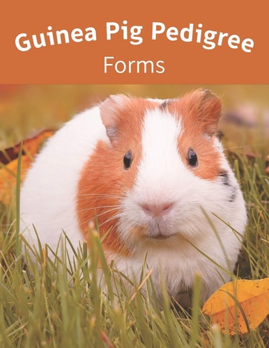 Guinea Pig Pedigree Forms Keep Records of Your Herd's Bloodlines with 40 Easy-to-Use Three Generation Cavy Pedigree Templates: Just Fill in the Information / Great for 4H, FFA, Or Hobby Breeders