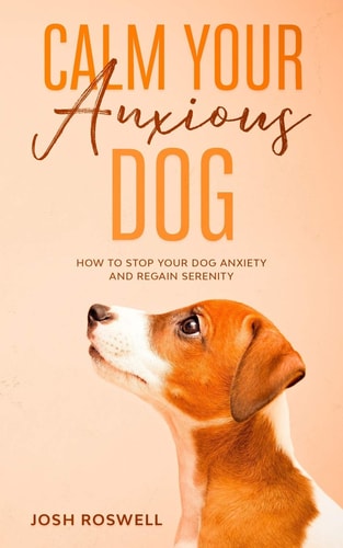 Calm Your Anxious Dog How To Stop Your Dog Anxiety And Regain Serenity