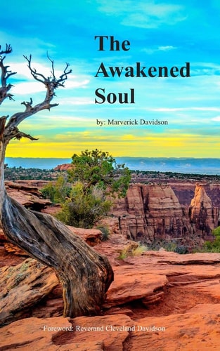 The Awakened Soul