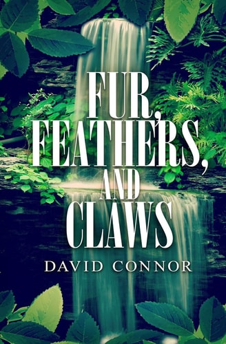 Fur, Feathers, and Claws