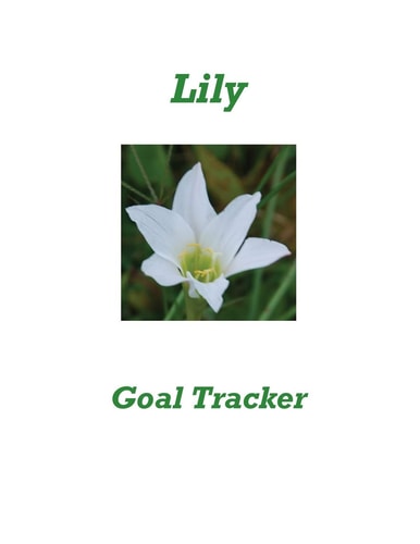 Lily Goal Tracker