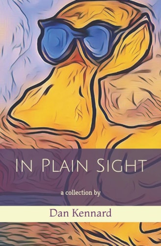 In Plain Sight A Collection by