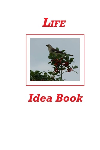 Life Idea Book
