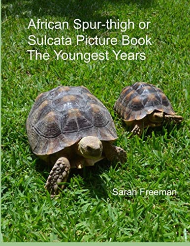 African Spur-Thigh Or Sulcata Picture Book - the Youngest Years