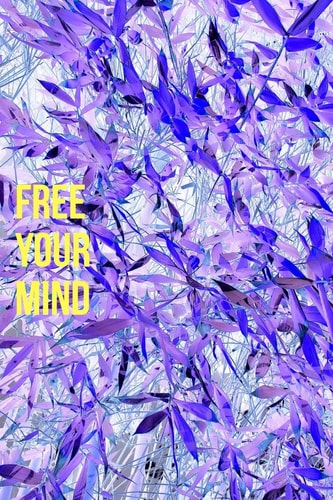 Free Your Mind Higher Levels of Consciousness