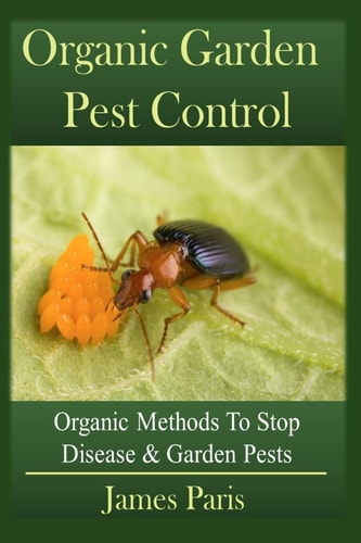 Organic Garden Pest Control Organic Methods To Stop Disease and Garden Pests
