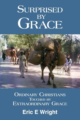 Surprised by Grace Ordinary Christians Touched by Extraordinary Grace