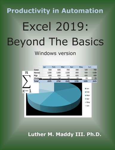 Excel 2019 Beyond the Basics