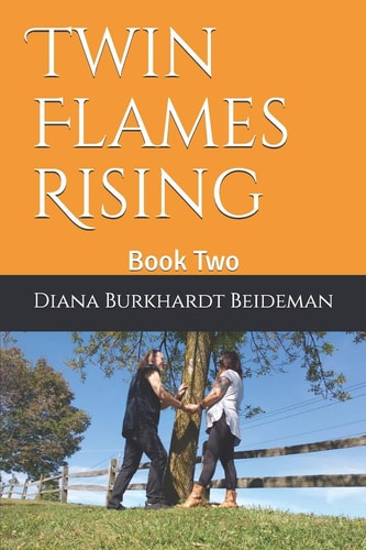 Twin Flames Rising Book Two