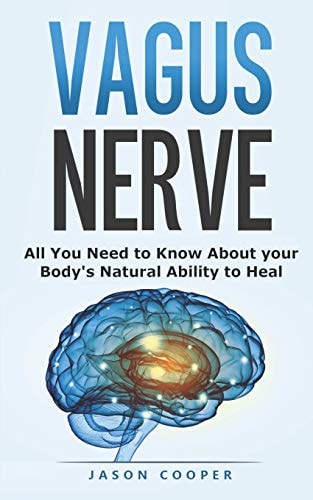 Vagus Nerve All You Need To Know About Your Body's Natural Ability To Heal