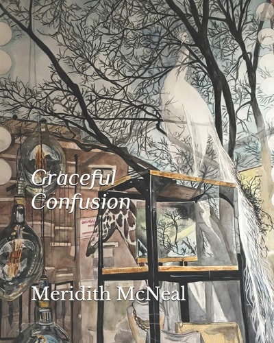 Graceful Confusion Paintings by Meridith McNeal
