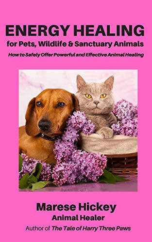 Energy Healing for Pets, Wildlife and Sanctuary Animals How to Safely Offer Powerful and Effective Animal Healing