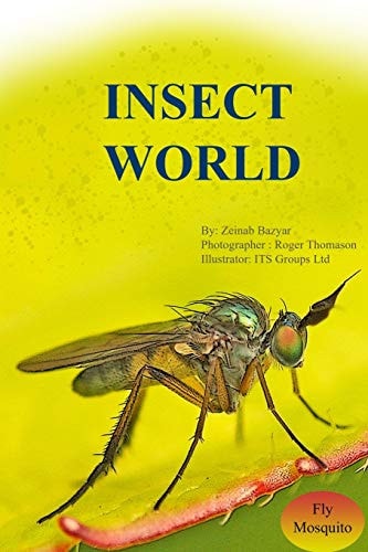 Insect World Fly and Mosquito