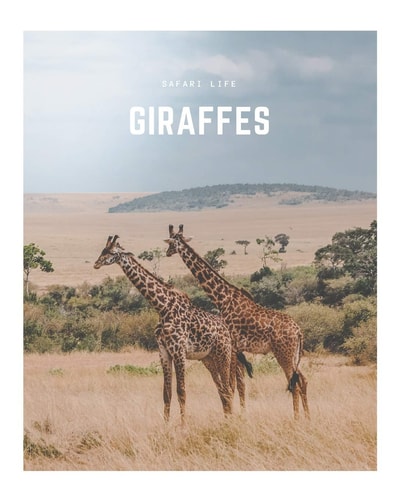 Giraffes A Decorative Book │ Perfect for Stacking on Coffee Tables and Bookshelves │ Customized Interior Design and Home Decor