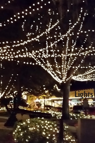 Lights The Nights of