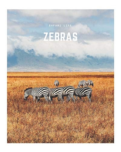 Zebras A Decorative Book │ Perfect for Stacking on Coffee Tables and Bookshelves │ Customized Interior Design and Home Decor