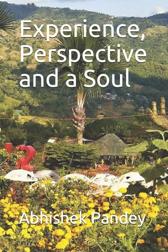 Experience, Perspective and a Soul