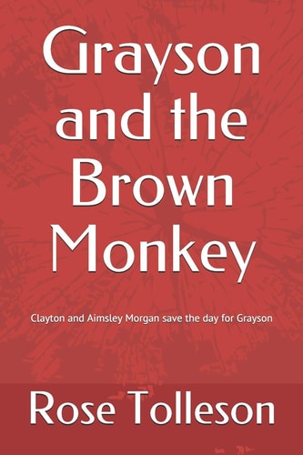 Grayson and the Brown Monkey Clayton and Aimsley Morgan Save the Day