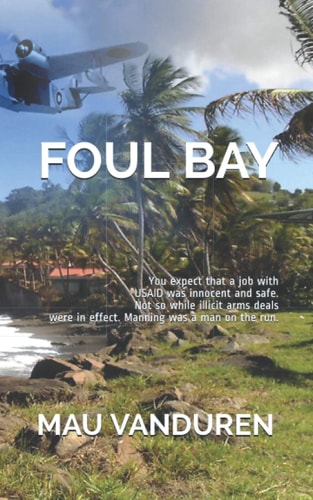 Foul Bay You Expect that a Job with USAID was Innocent and Safe. Not So While Illicit Arms Deals Were in Effect. Manning was a Man on the Run.