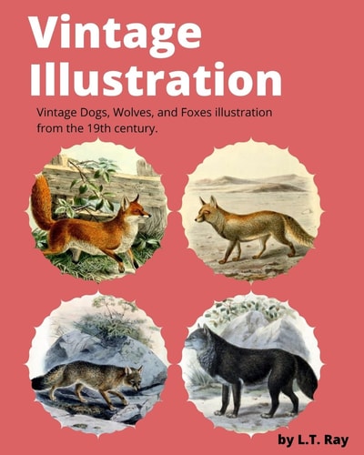 Vintage Illustration Vintage Dogs, Wolves, and Foxes Illustration from the 19th Century.
