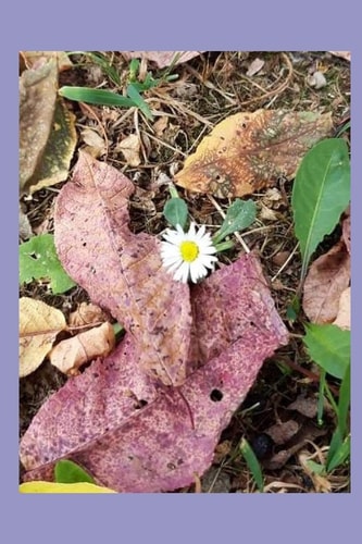 Source of Inspiration, Vol. 12 Inspirational Poetry