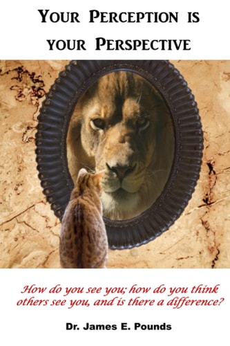 Your Perception is Your Perspective How Do You See You; how Do You Think Others See You, and is There a Difference?