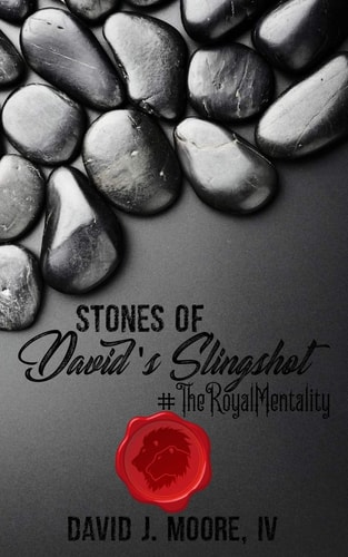 Stones of David's Slingshot #TheRoyalMentality