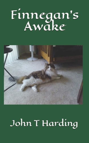 Finnegan's Awake