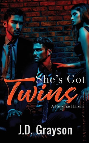 She's Got Twins A Reverse Harem