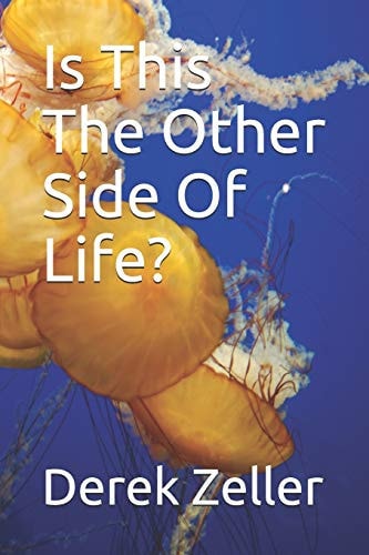 Is This The Other Side Of Life? Derek Zeller