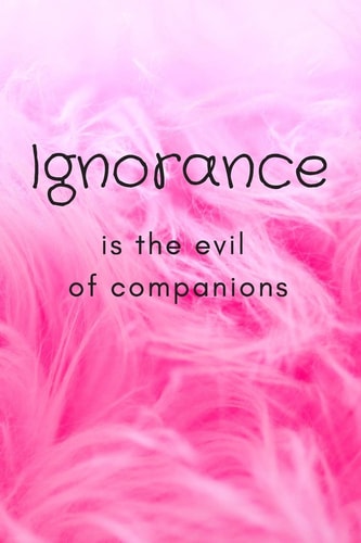 Ignorance Is the Evil of Companions