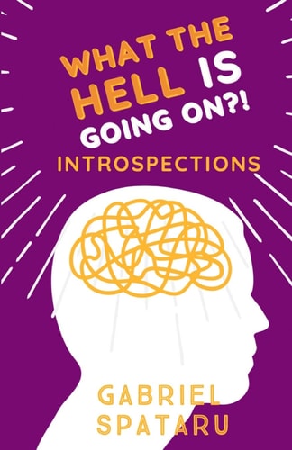 Introspections - What the Hell Is Going On?!