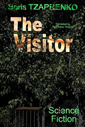 The Visitor