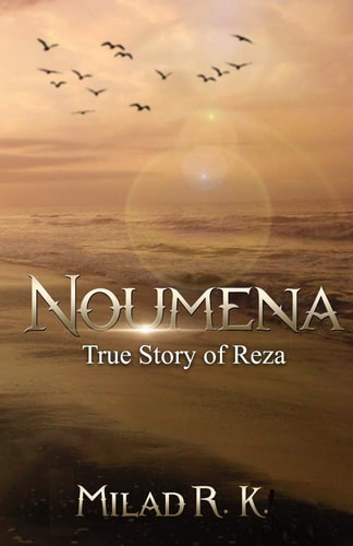 Noumena True Story of Reza
