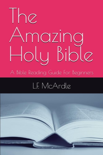 The Amazing Holy Bible A Bible Reading Guide For Beginners