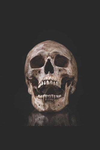 101 Great Jokes about Death and Dying