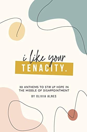 I Like Your Tenacity 30 Anthems to Stir Up Hope in the Middle of Disappointment