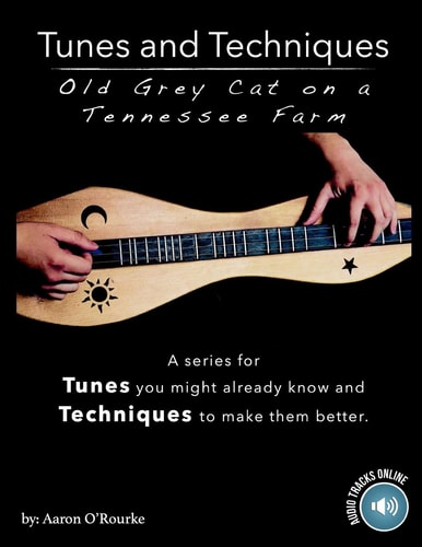 Tunes And Techniques Old Grey Cat On A Tennessee Farm