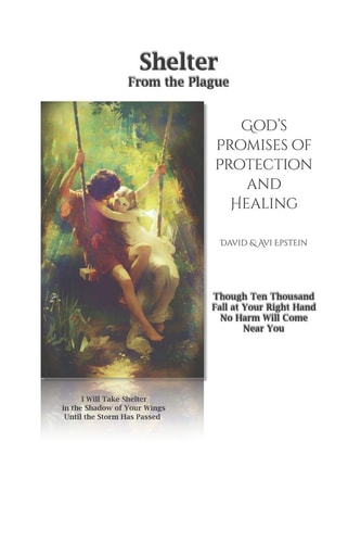 Shelter From the Plague God's Promises of Protection and Healing, Antiviral Herbs, and Common Sense