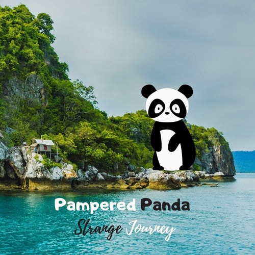 Pampered Panda - Strange Journey Creative Way to Show Love to Kids and Teach how to Have a Great Fun Activity at Home with Family Endangered Animal Unexpected Fiction Story Up-to-date Fairytale for Toddlers and Kids