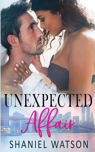 Unexpected Affair An Office Romance