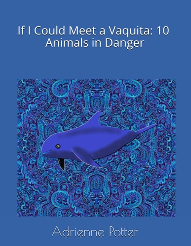 If I Could Meet a Vaquita 10 Animals in Danger