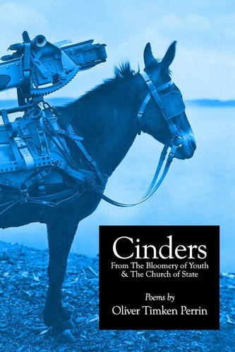 Cinders From The Bloomery of Youth & The Church of State Poems 1994-2016