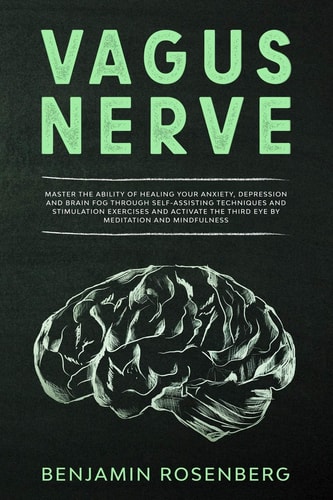 Vagus Nerve : Master the Ability of Healing Your Anxiety, Depression and Brain Fog Through Self-Assisting Techniques and Stimulation Exercises and Activate the Third Eye by Meditation and Mindfulness