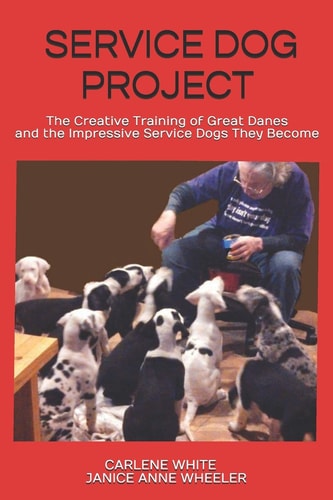 Service Dog Project The Creative Training of Great Danes and the Impressive Service Dogs They Become