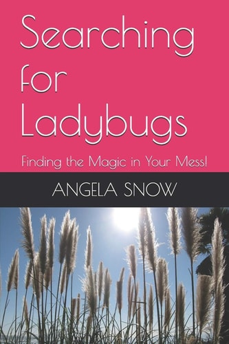 Searching for Ladybugs Finding the Magic in Your Mess!