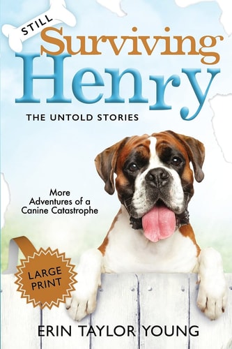 Still Surviving Henry The Untold Stories